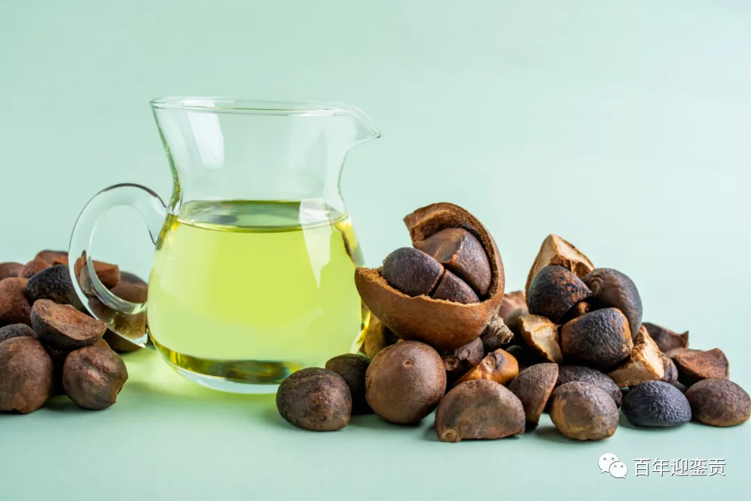世界没有真相,只有认知,最好的食用油是中国的山茶油! - 江门生活资讯 - 江门28生活网 jm.28life.com