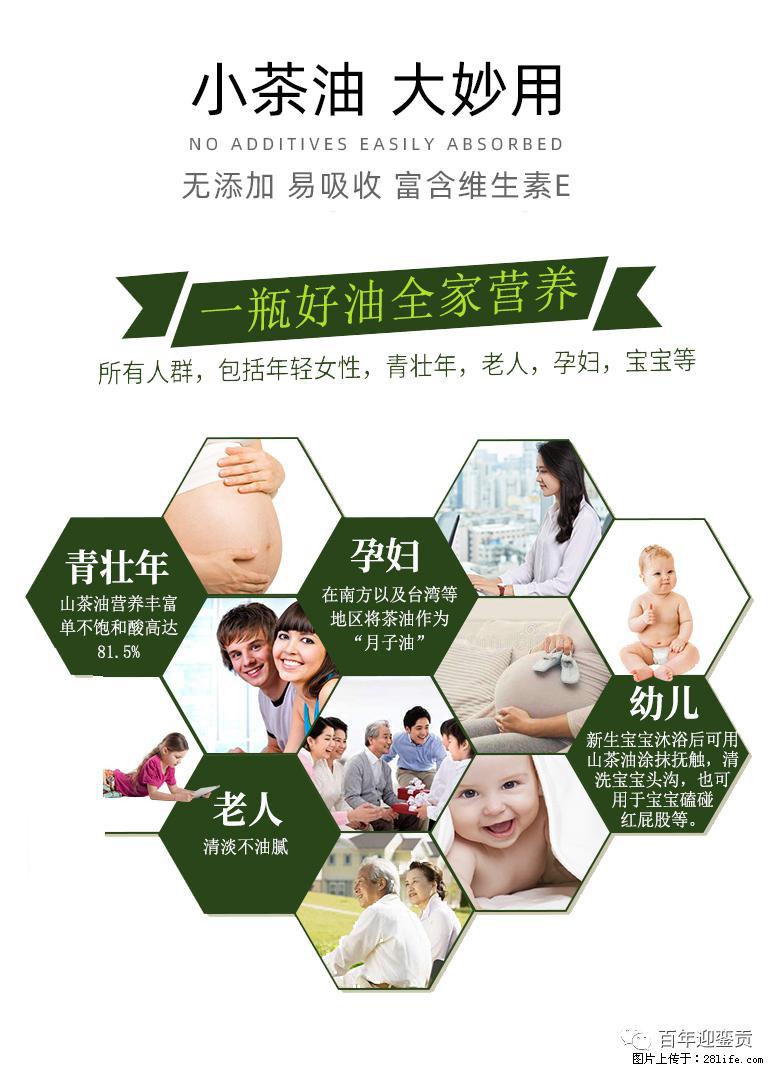 世界没有真相,只有认知,最好的食用油是中国的山茶油! - 江门生活资讯 - 江门28生活网 jm.28life.com