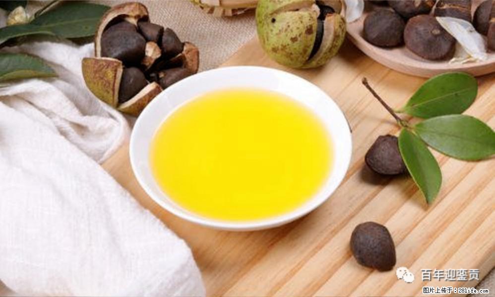 世界没有真相,只有认知,最好的食用油是中国的山茶油! - 江门生活资讯 - 江门28生活网 jm.28life.com