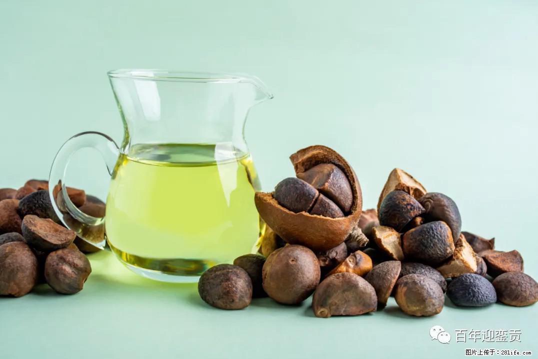 世界没有真相，只有认知，最好的食用油是中国的山茶油！ - 江门生活资讯 - 江门28生活网 jm.28life.com