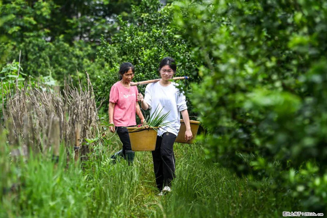 全网追的“扁担女孩”,找了一份暑假工,时薪12元 - 江门生活资讯 - 江门28生活网 jm.28life.com