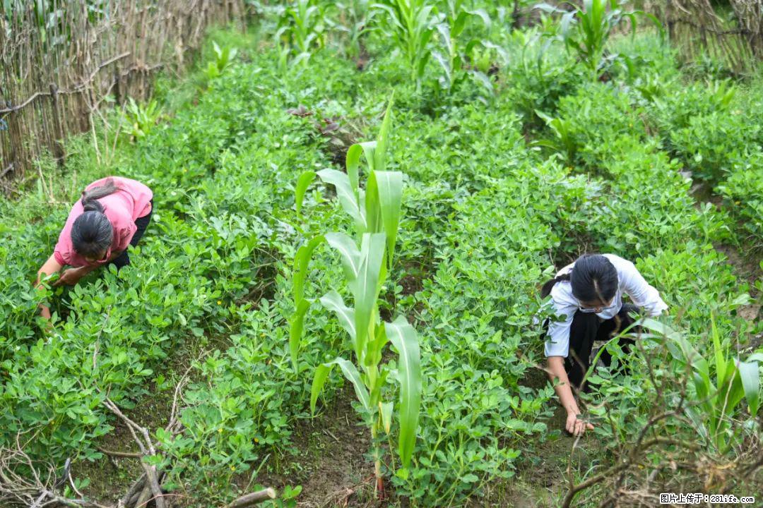 全网追的“扁担女孩”,找了一份暑假工,时薪12元 - 江门生活资讯 - 江门28生活网 jm.28life.com