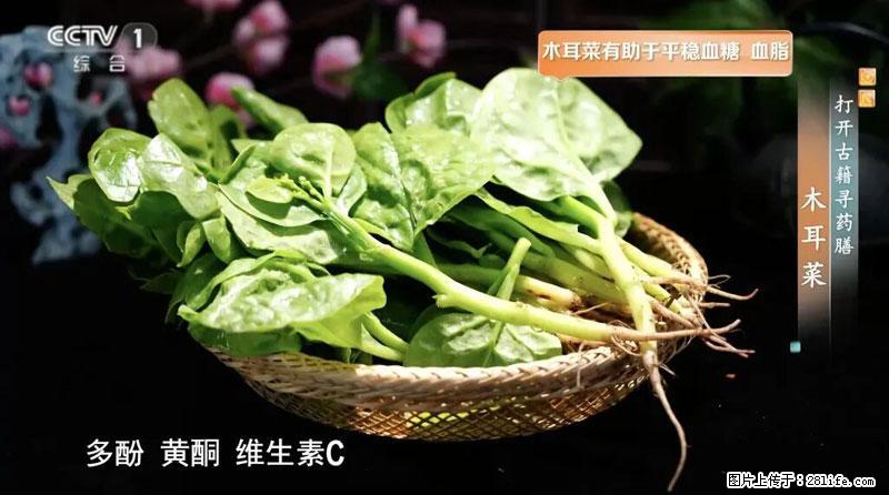 比牛奶补钙还厉害!凉血解毒、稳血糖...这菜冬天必吃,很多人却当草 - 江门生活资讯 - 江门28生活网 jm.28life.com
