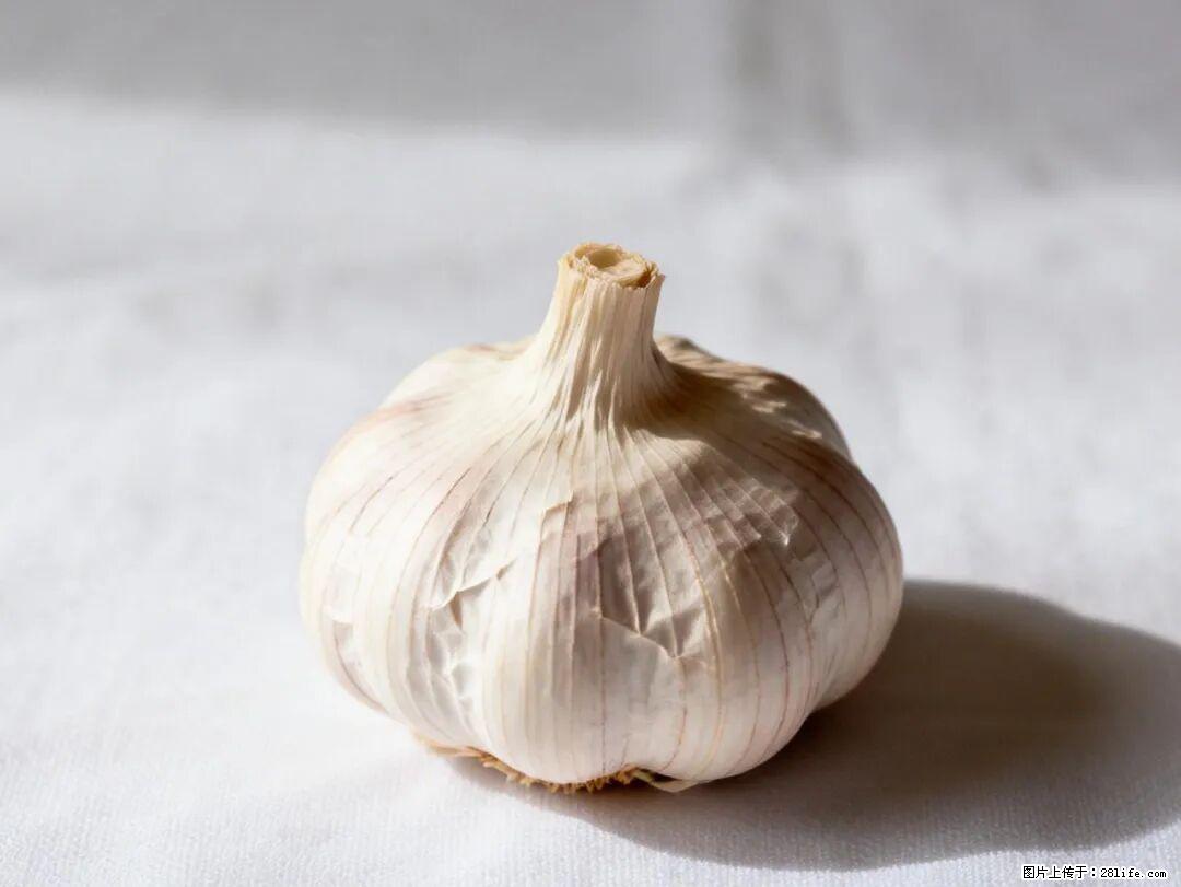关于大蒜，除了“天然抗生素”，这4个谣言更该警惕! - 江门生活资讯 - 江门28生活网 jm.28life.com