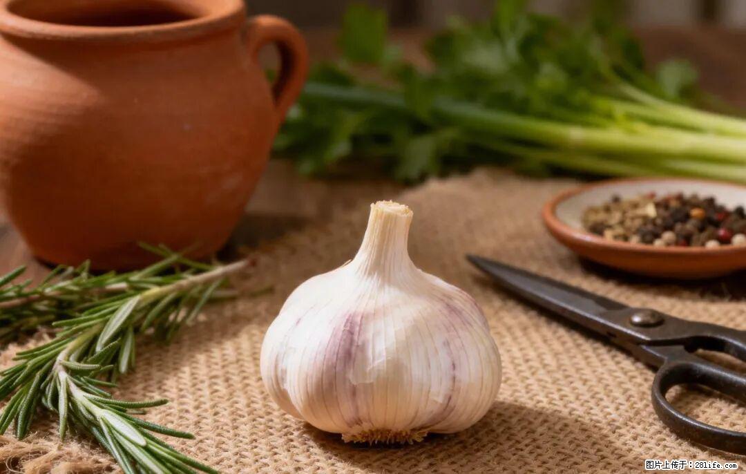 关于大蒜，除了“天然抗生素”，这4个谣言更该警惕! - 江门生活资讯 - 江门28生活网 jm.28life.com