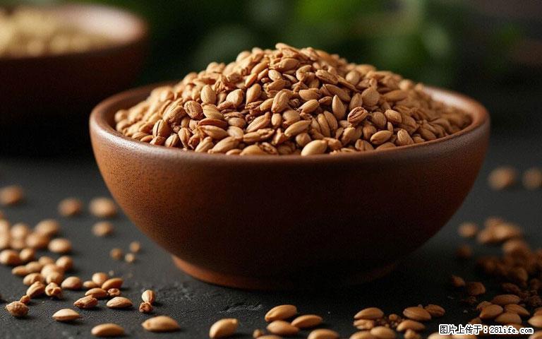 这三苦是三高“克星”，心血管干净不易堵！每天吃一点，指标慢慢降下来~ - 江门生活资讯 - 江门28生活网 jm.28life.com