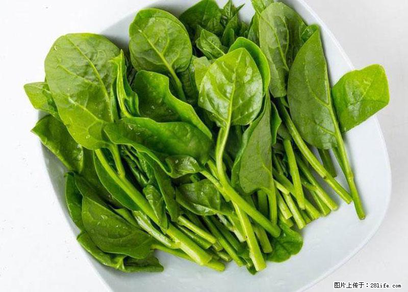 这些蔬菜是“天然钙片”，这6种被医生重点推荐 - 江门生活资讯 - 江门28生活网 jm.28life.com