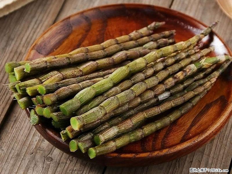铁皮石斛的作用与功能主治 - 江门生活资讯 - 江门28生活网 jm.28life.com