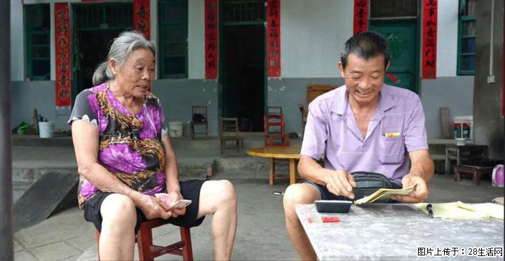 【乡村振兴】广西桂林市灌阳县文市蜂糖李、黄金奈李迎丰产上市季 甜蜜产业助振兴 - 江门生活资讯 - 江门28生活网 jm.28life.com