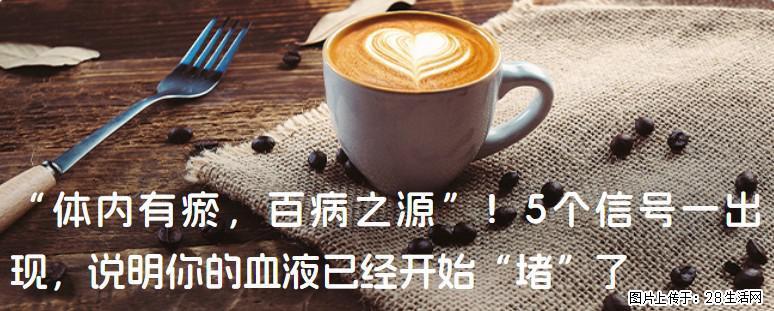 “体内有瘀，百病之源”！5个信号一出现，说明你的血液已经开始“堵”了 - 江门生活资讯 - 江门28生活网 jm.28life.com